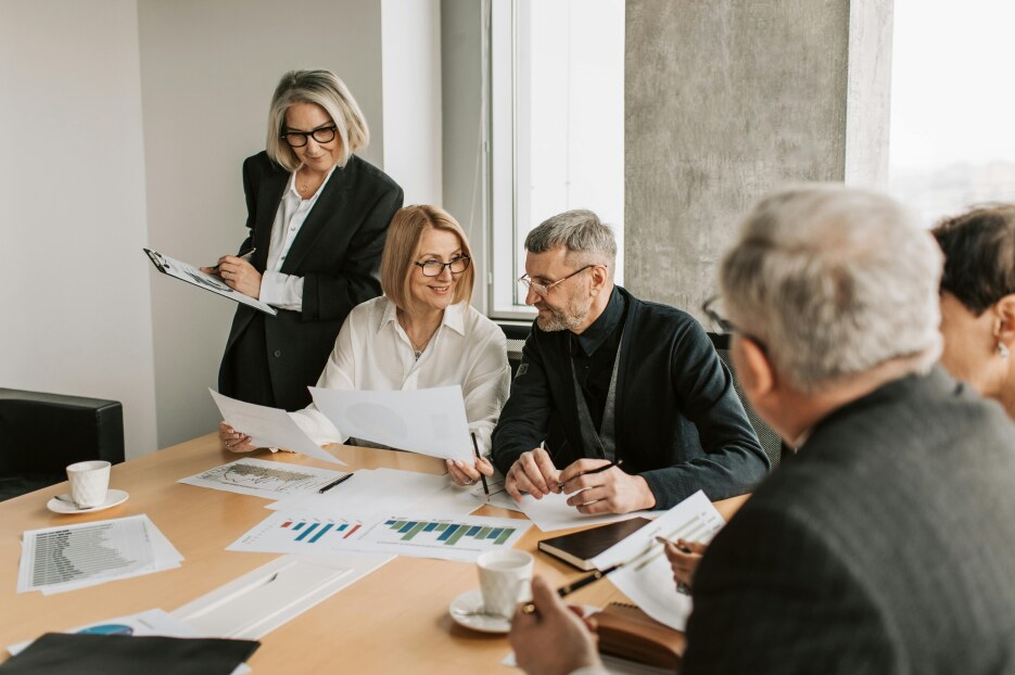 Наша команда Hinamelovira